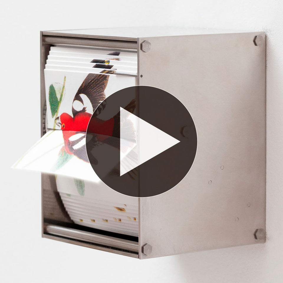 Passerine - Carbono Galeria