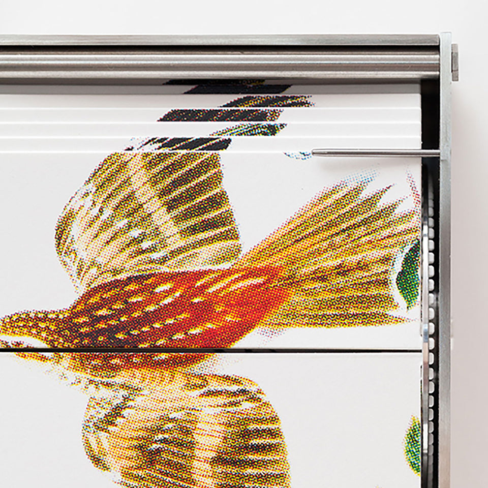 Passerine - Carbono Galeria