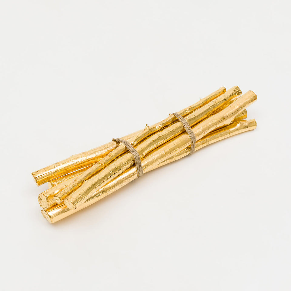 Paus de ouro - Carbono Galeria