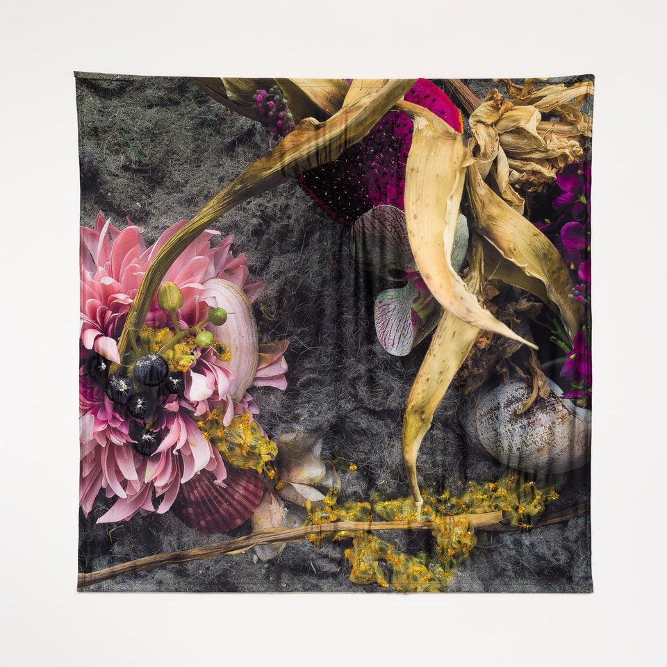 Pitaya - Carbono Galeria