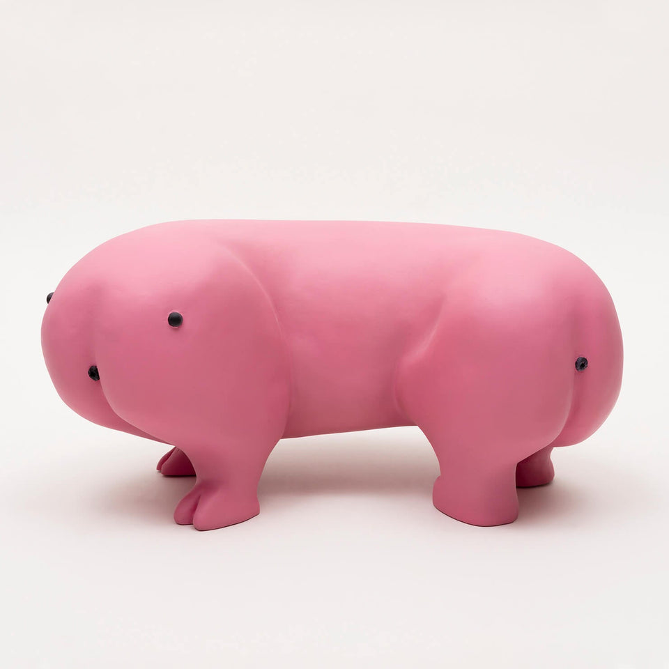 Polochon - Carbono Galeria