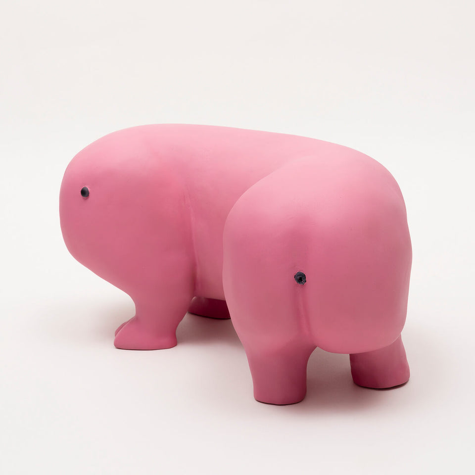 Polochon - Carbono Galeria