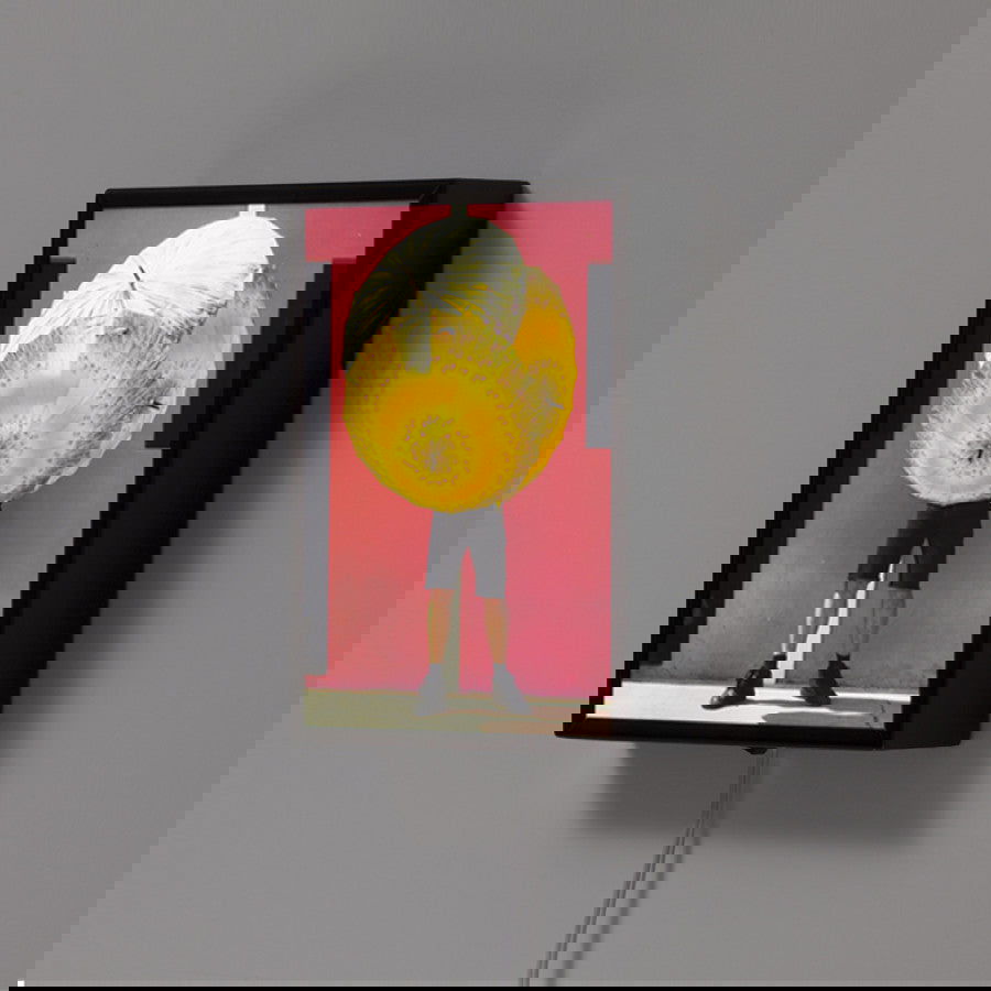 Portrait Bicho da Seda Amarelo - Carbono Galeria