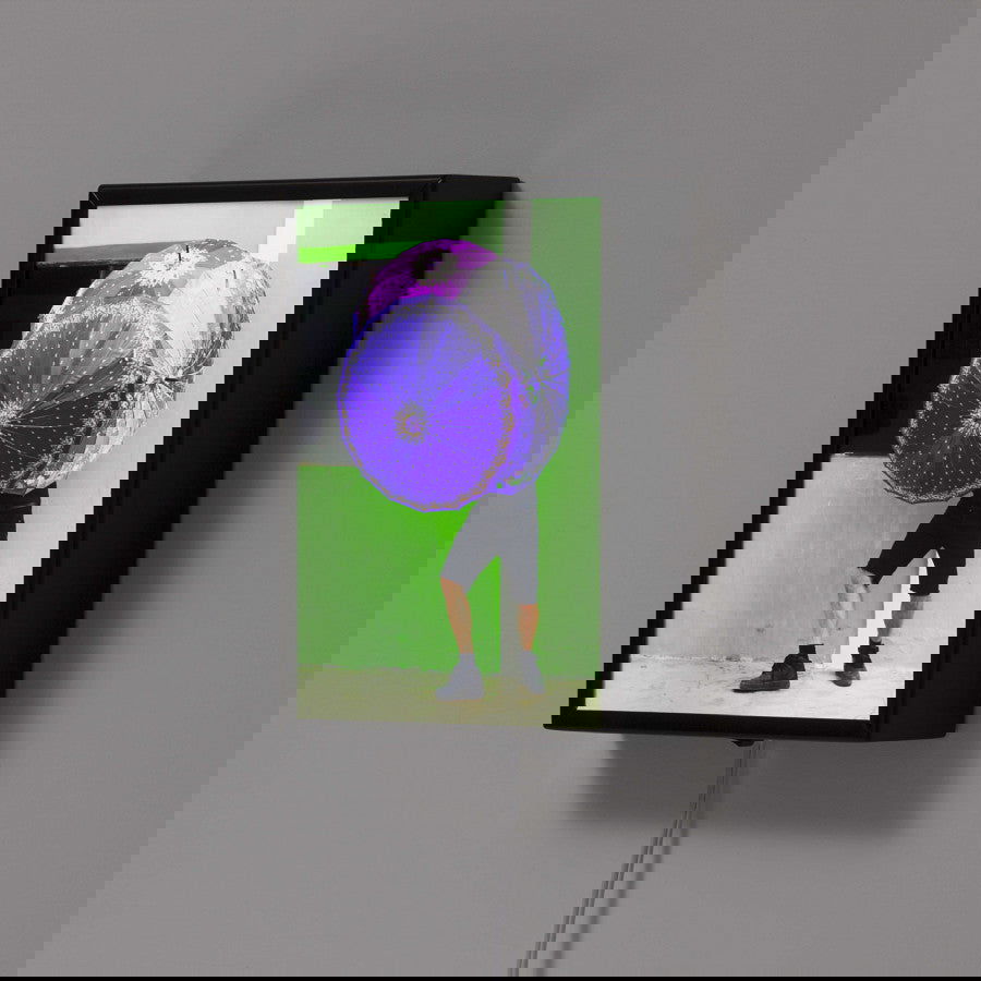 Portrait Bicho da Seda Verde - Carbono Galeria