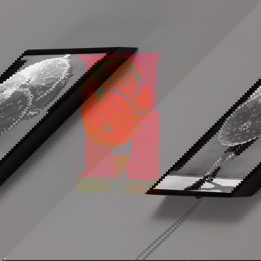 Portrait Bicho da Seda Vermelho - Carbono Galeria