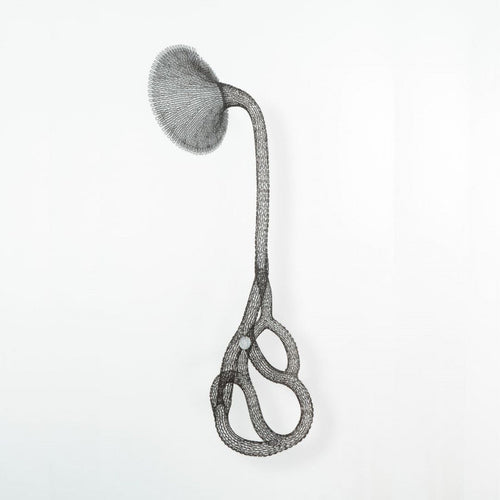 Raiz - Carbono Galeria