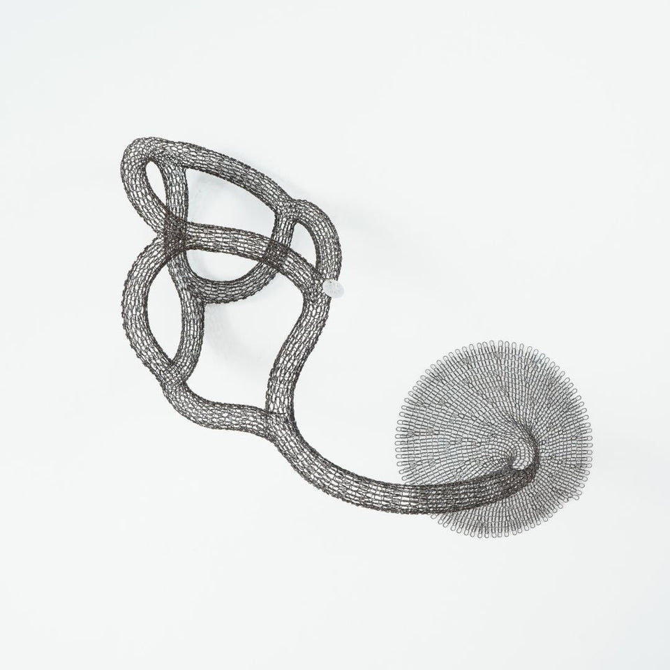 Raiz - Carbono Galeria