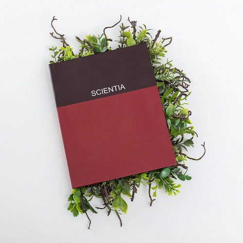 Scientia - Carbono Galeria