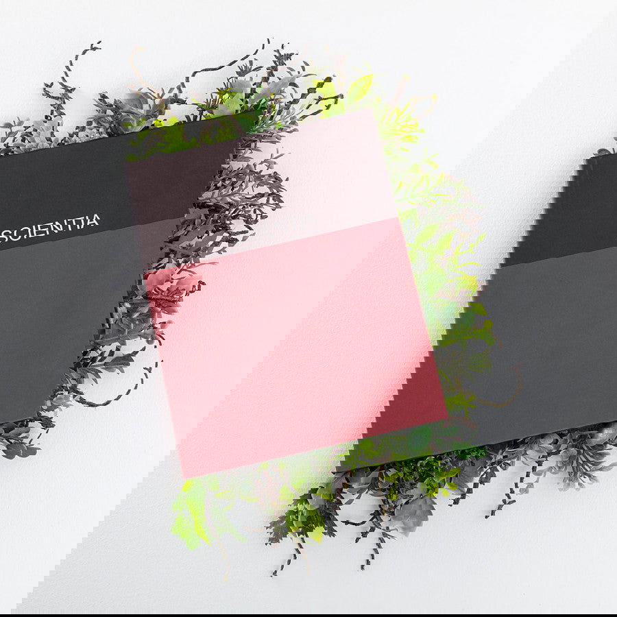 Scientia - Carbono Galeria