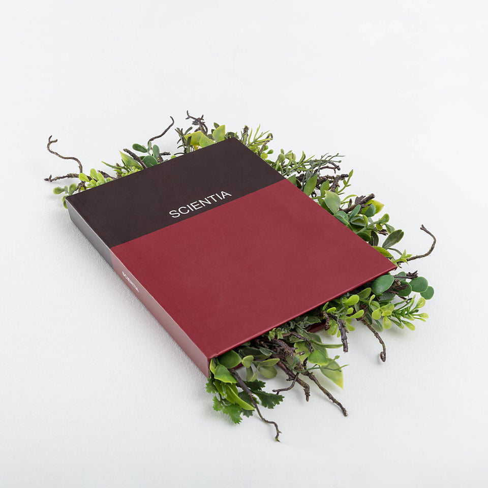 Scientia - Carbono Galeria