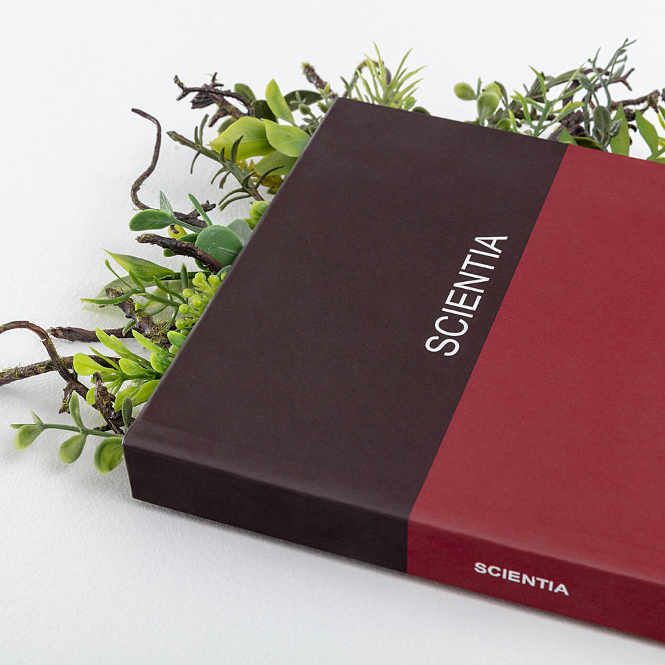 Scientia - Carbono Galeria