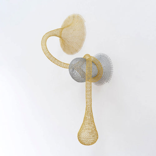Seed - Carbono Galeria