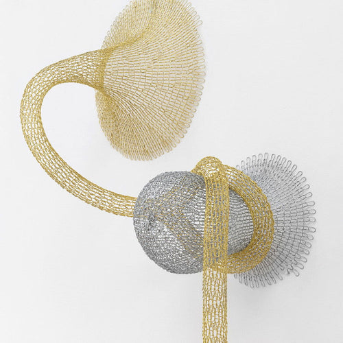 Seed - Carbono Galeria