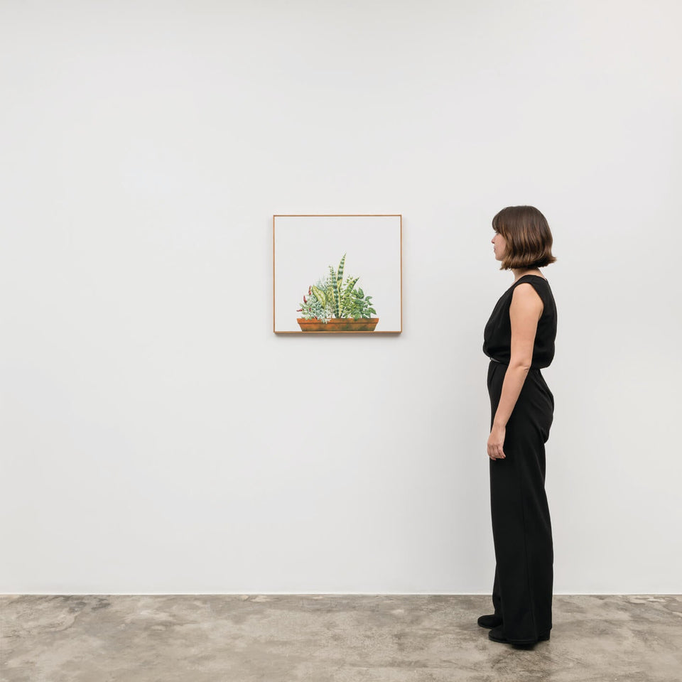 Sete ervas e joaninha - Carbono Galeria