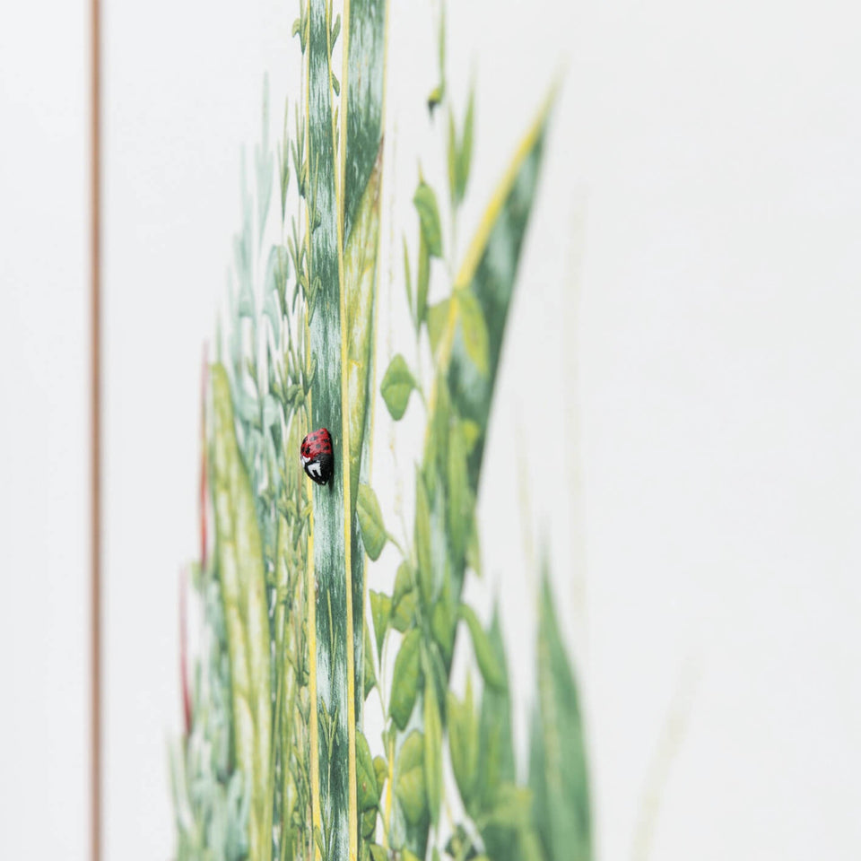 Sete ervas e joaninha - Carbono Galeria