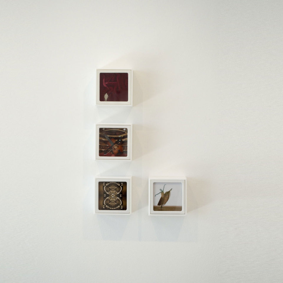 Som e Movimento II - Carbono Galeria