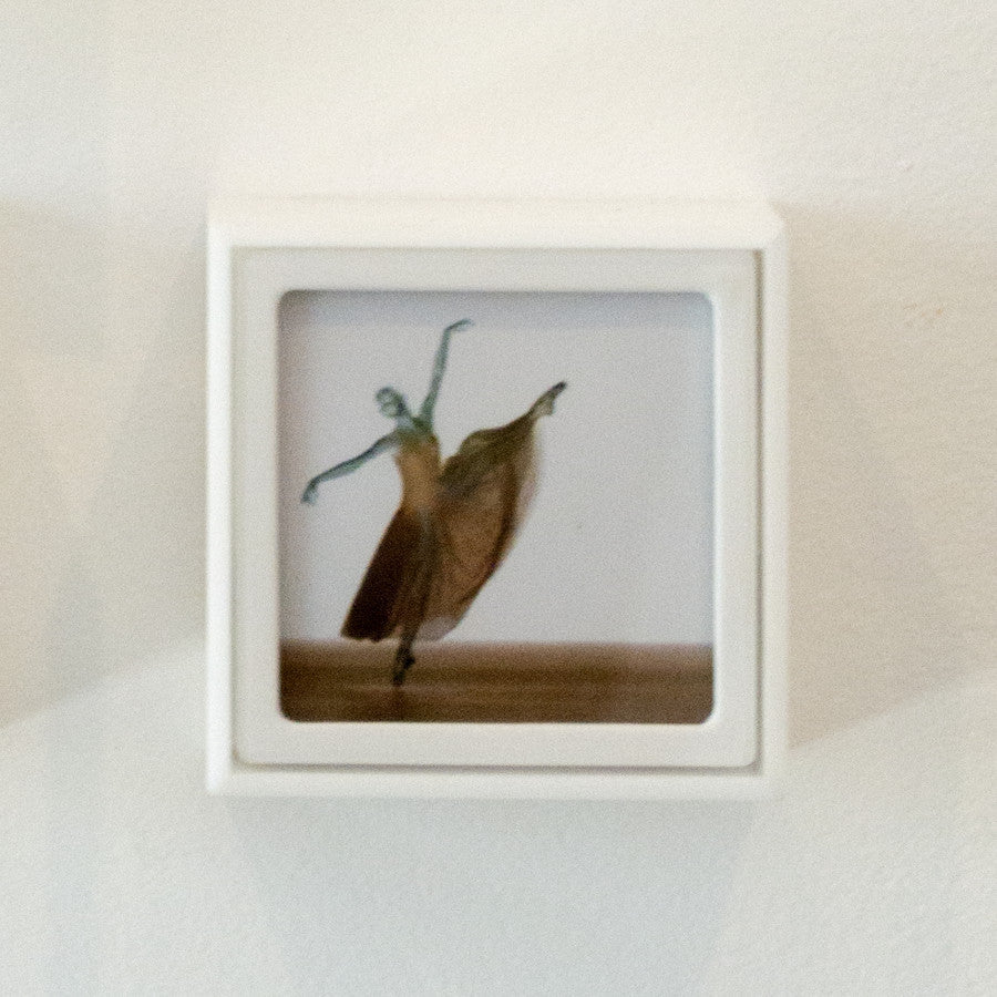 Som e Movimento II - Carbono Galeria