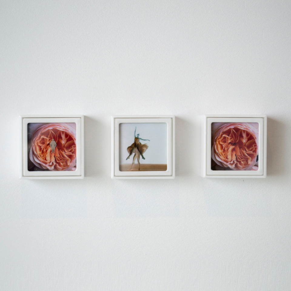 Som e Movimento I - Carbono Galeria