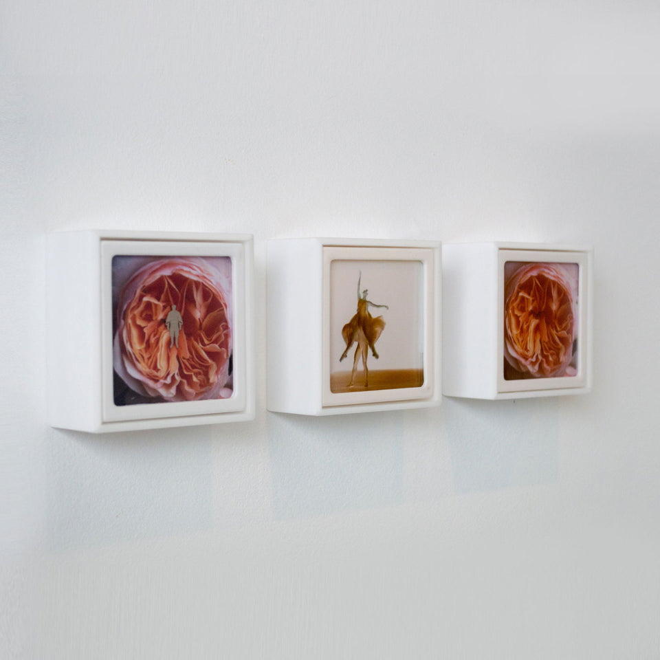 Som e Movimento I - Carbono Galeria