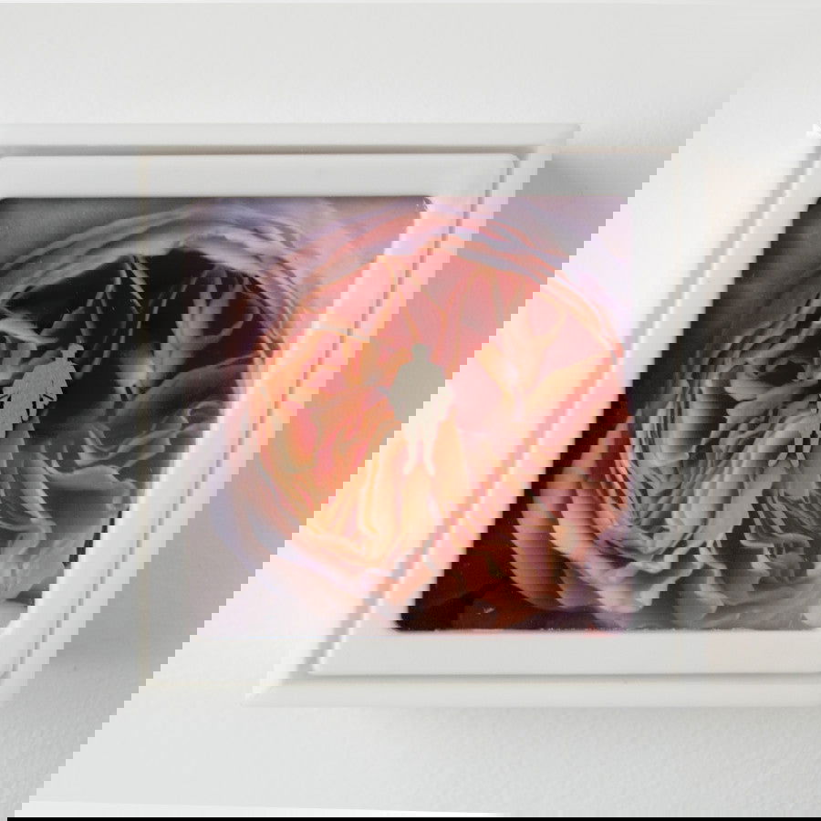 Som e Movimento I - Carbono Galeria