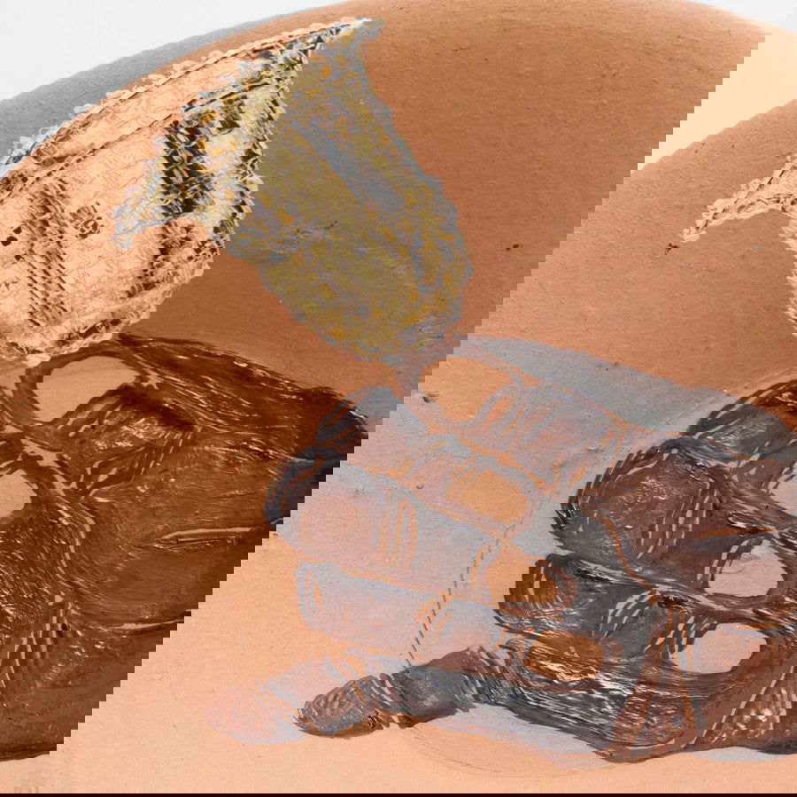 Sons velados - Carbono Galeria