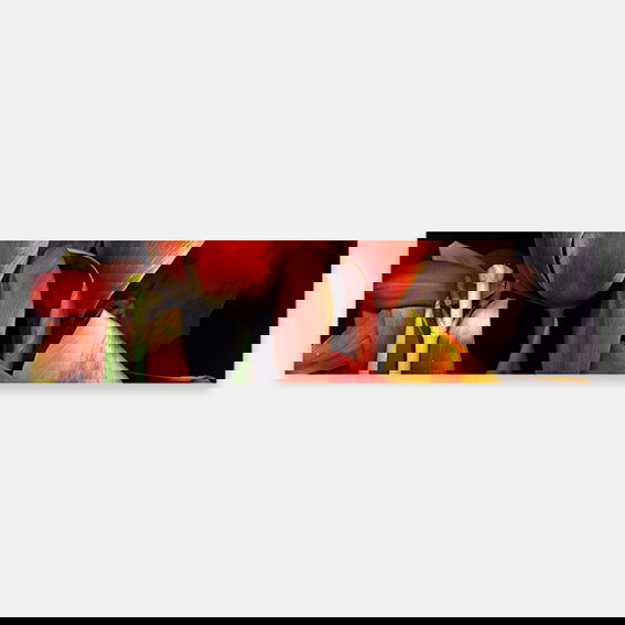 Stockage 12 - Carbono Galeria