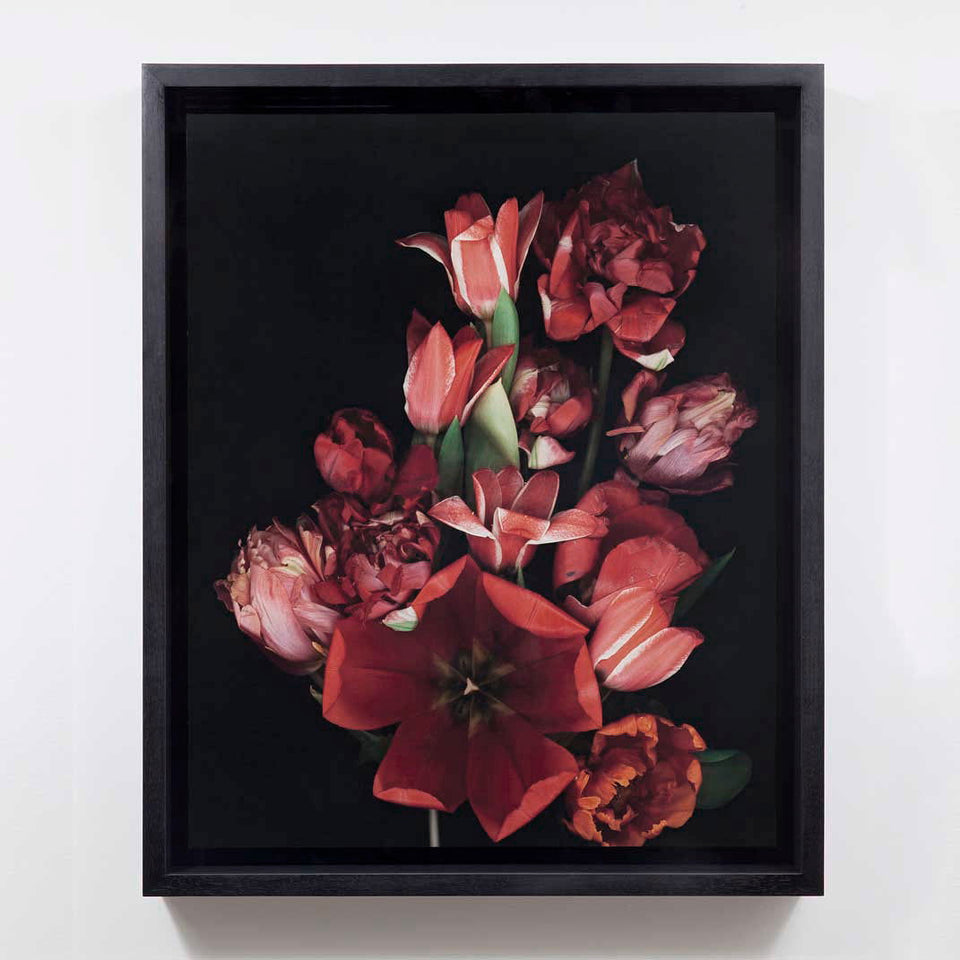 Stockage 138 - Carbono Galeria