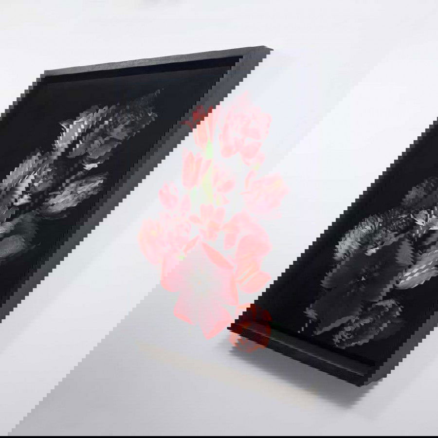 Stockage 138 - Carbono Galeria