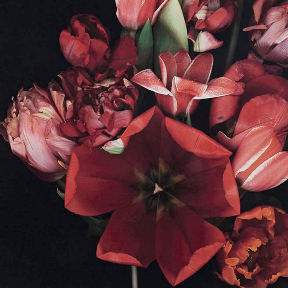 Stockage 138 - Carbono Galeria