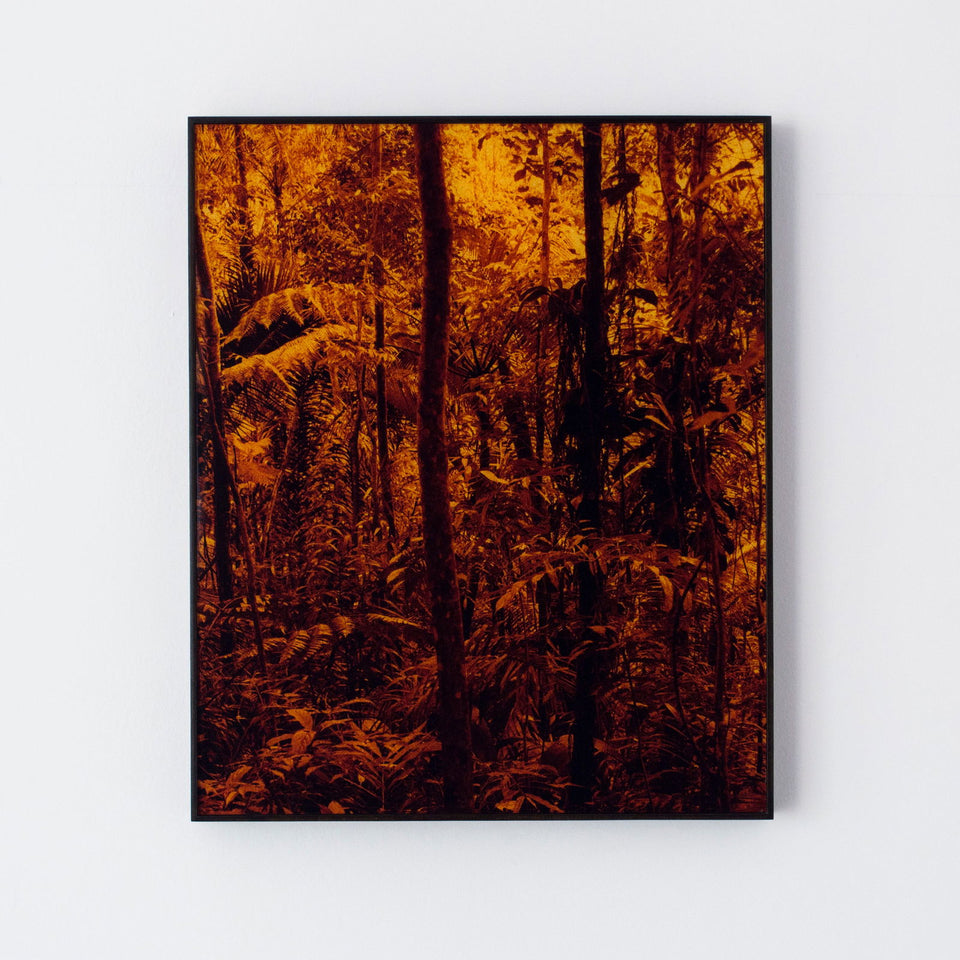 Tapeaba - Carbono Galeria