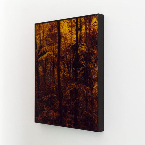 Tapeaba - Carbono Galeria