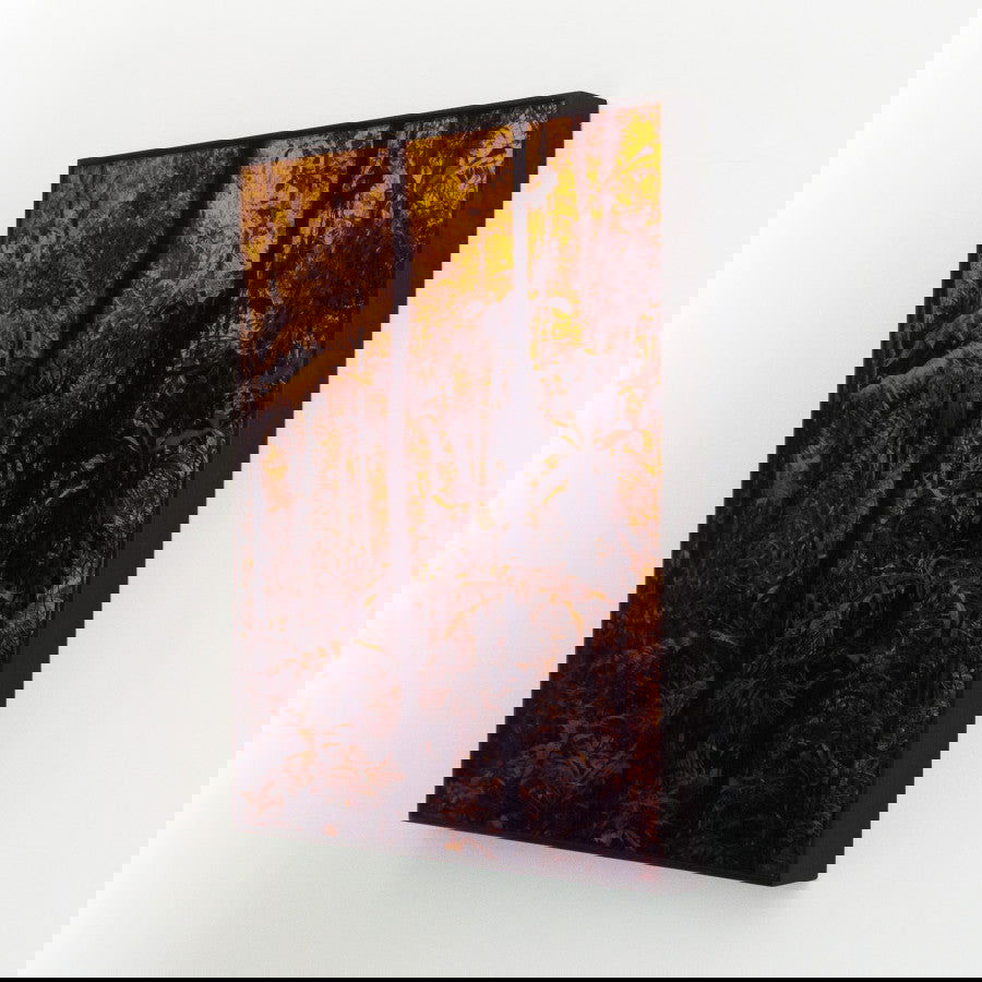 Tapeaba - Carbono Galeria