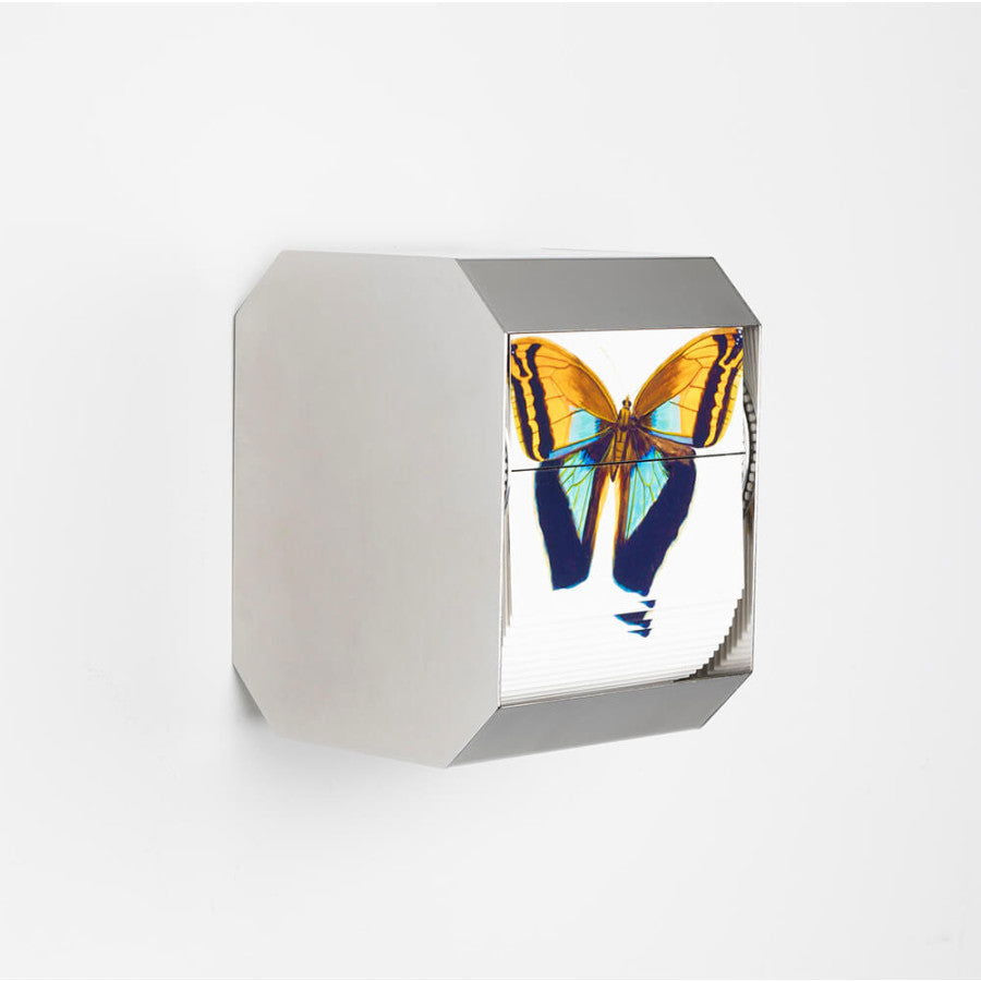 The Purple Owl Butterfly - Carbono Galeria