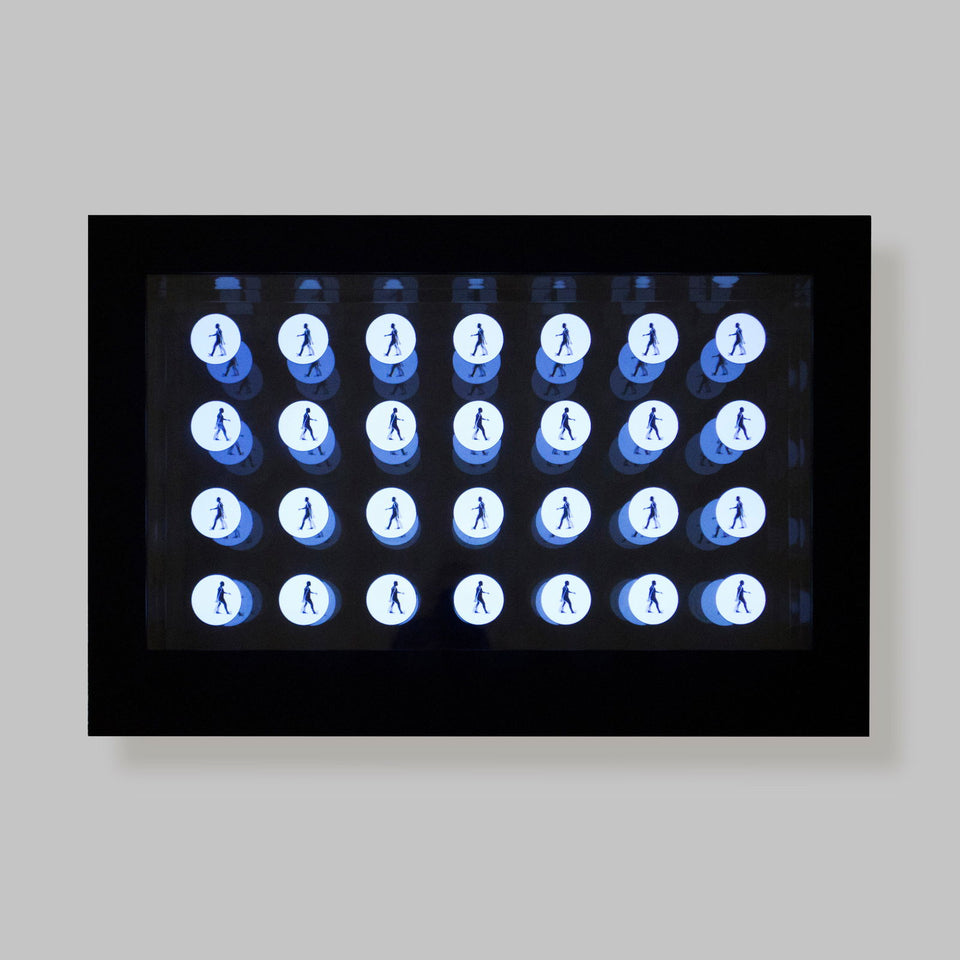 Todas em uma - Carbono Galeria