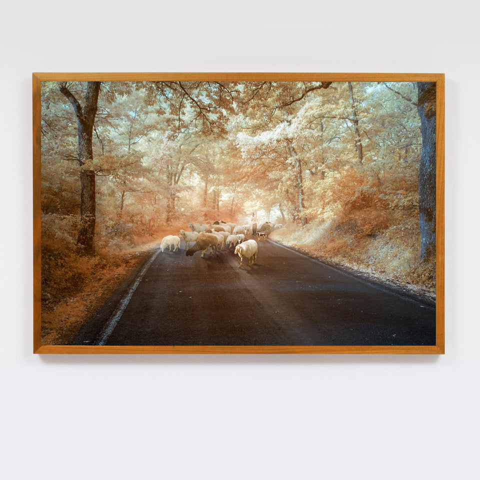 Toscana 02 - Carbono Galeria