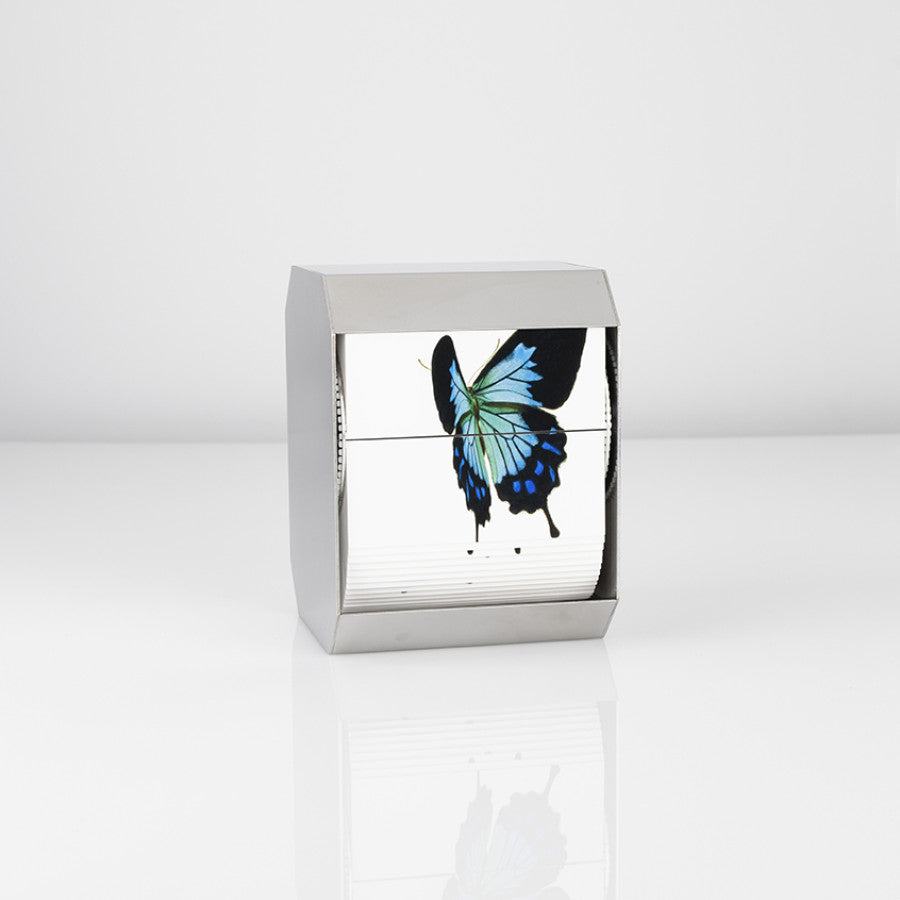 Ulysses Butterfly - Carbono Galeria