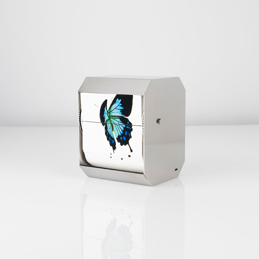 Ulysses Butterfly - Carbono Galeria