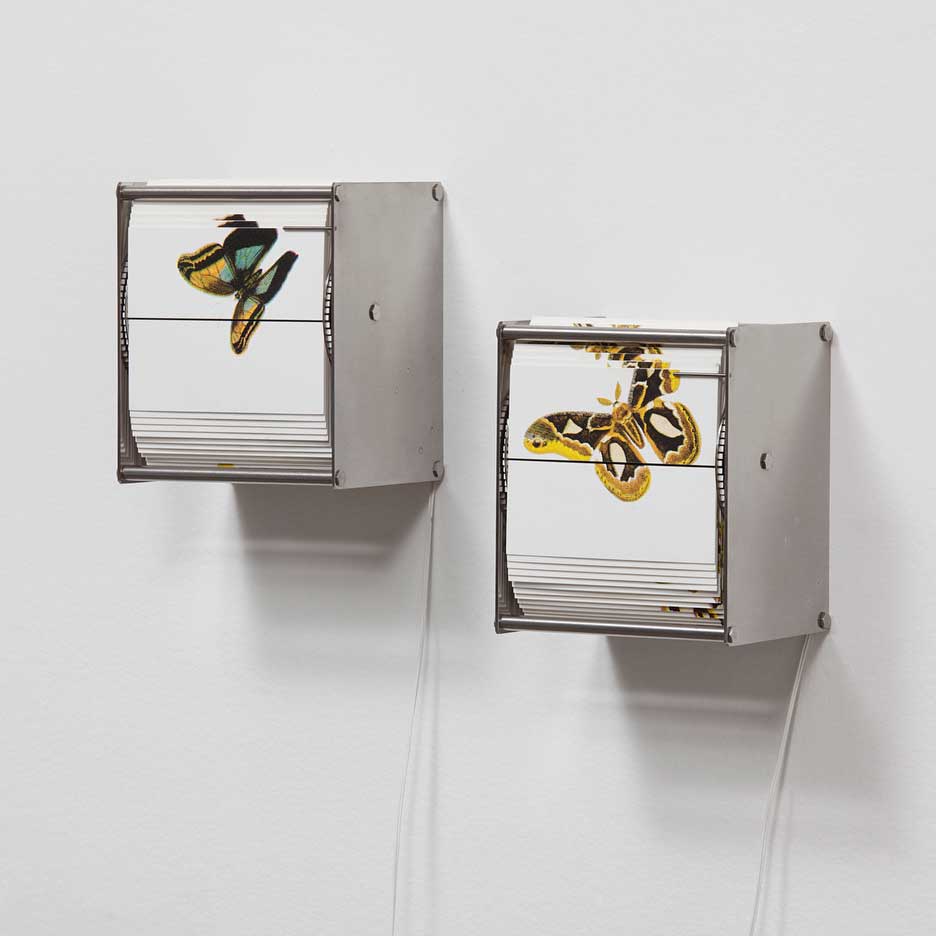 Vivarium A - Carbono Galeria