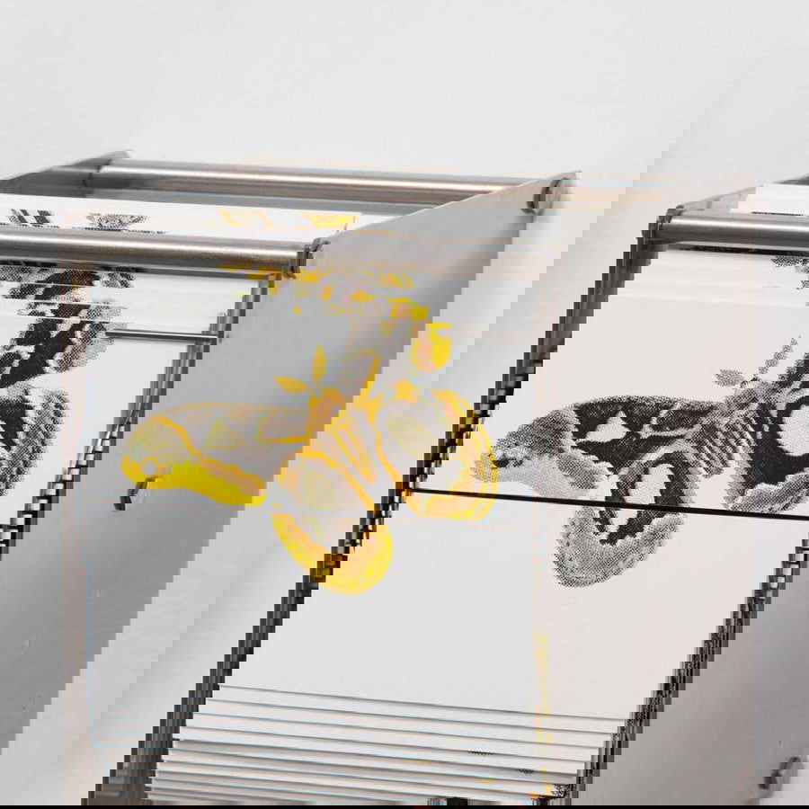 Vivarium A - Carbono Galeria