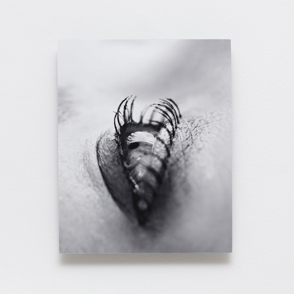 Adriana Varejão, Olho carnívoro