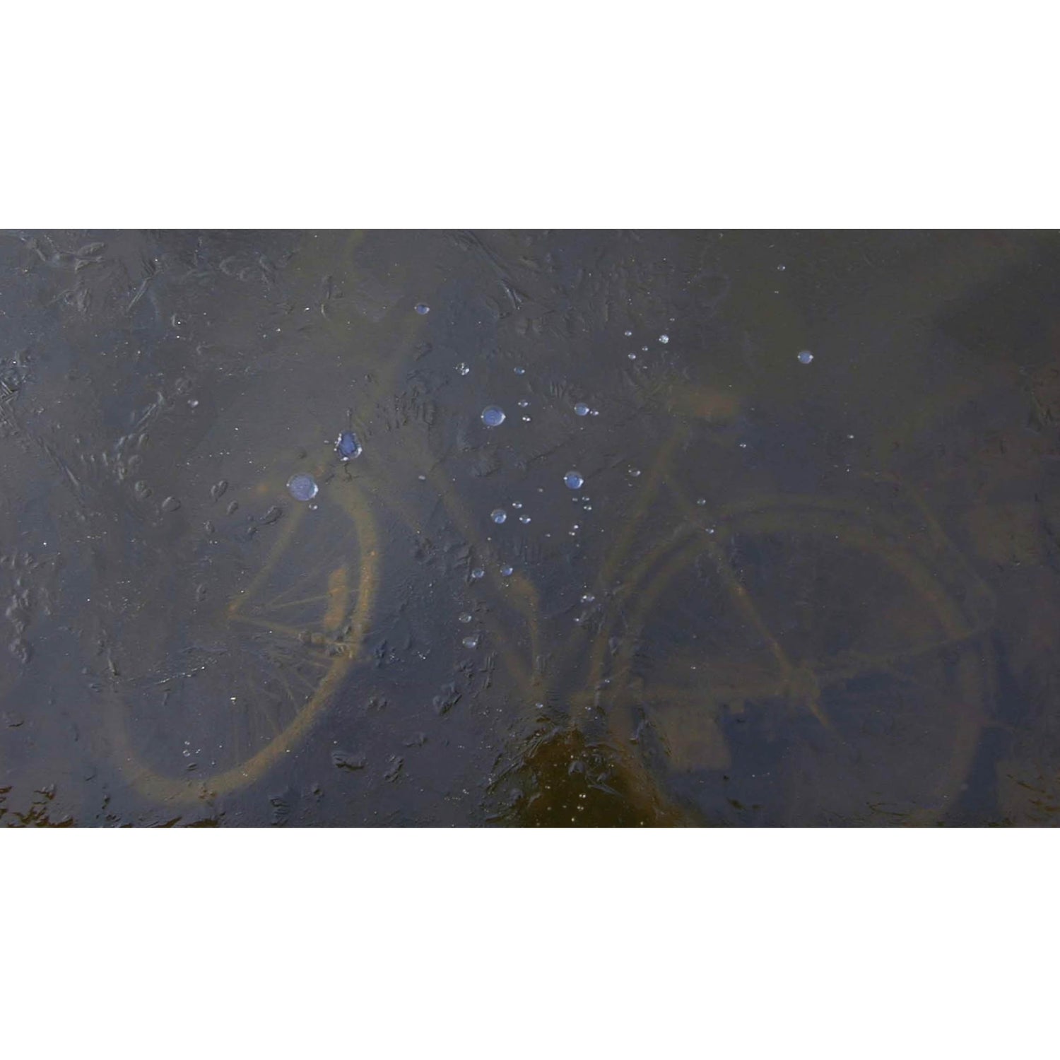 Andre Parente, Velo