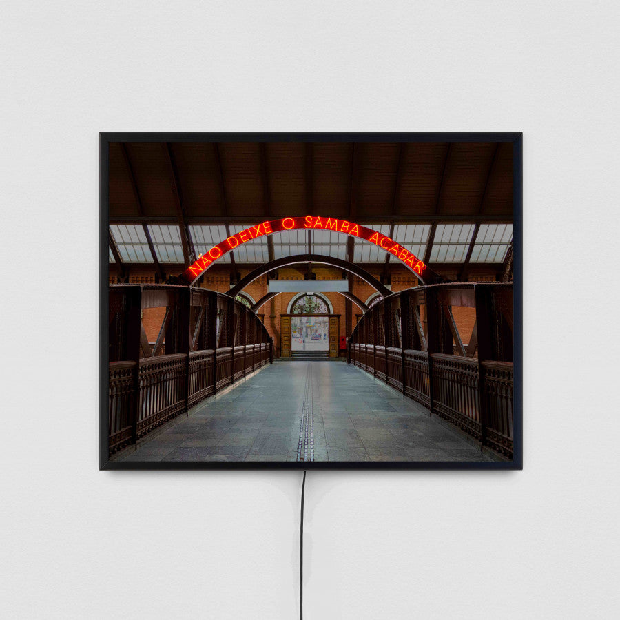 Não Deixe o Samba Morrer/Acabar, da série Samba Exaltação