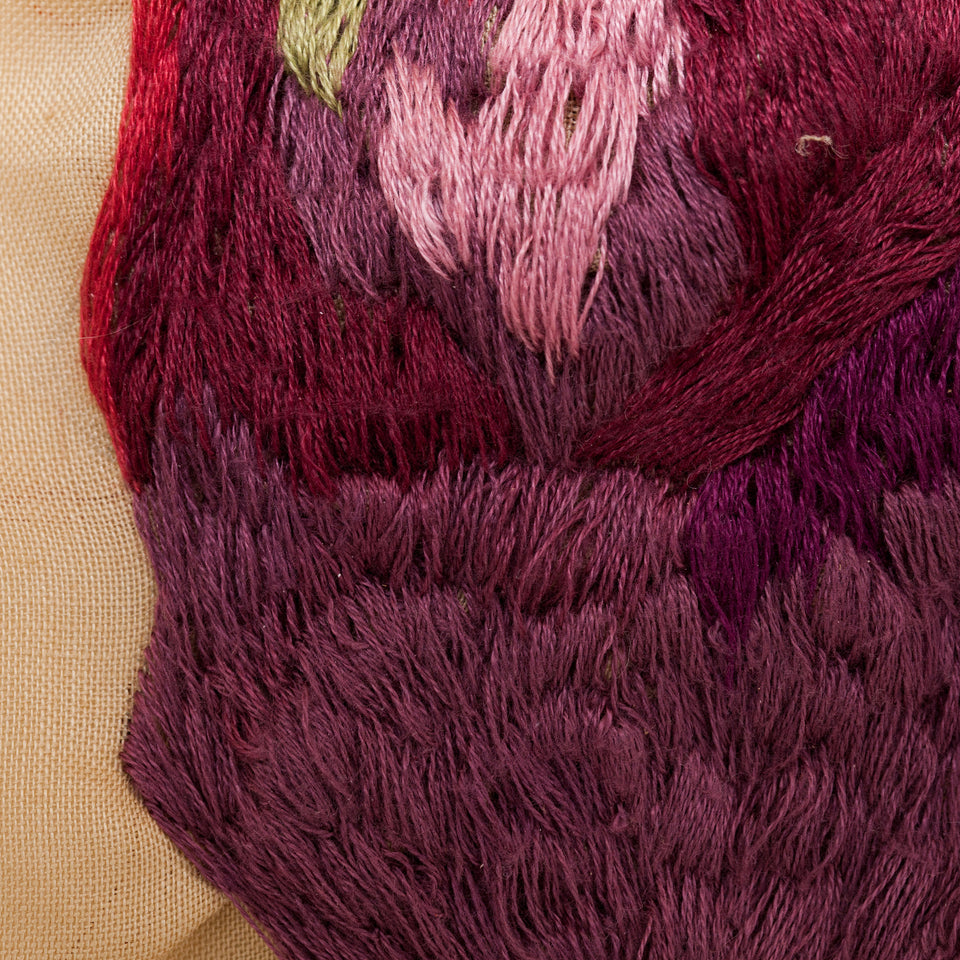 Brígida Baltar, O hematoma  #1