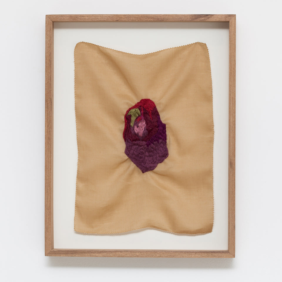 Brígida Baltar, O hematoma  #1