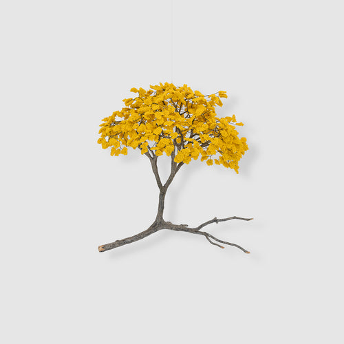 Metamorfosis de las ramas caídas (amarelo)