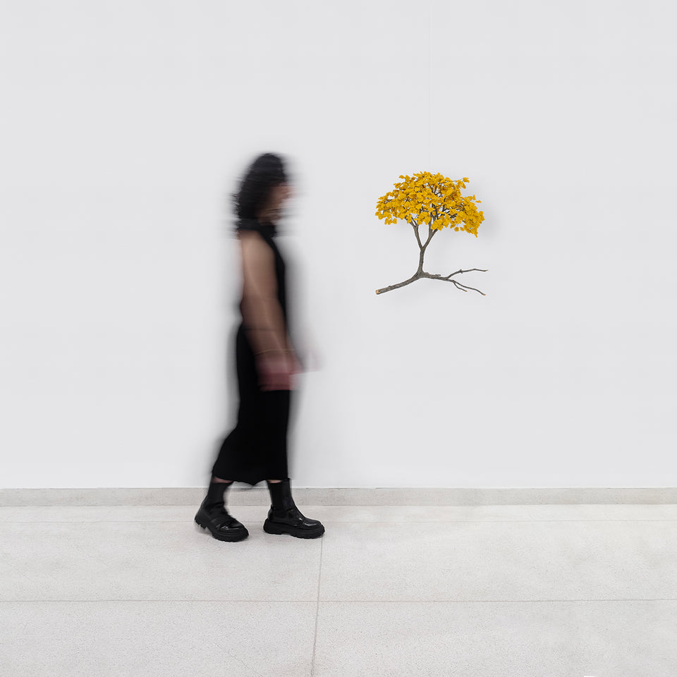 Metamorfosis de las ramas caídas (amarelo)