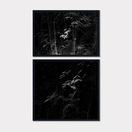 Point cloud forest