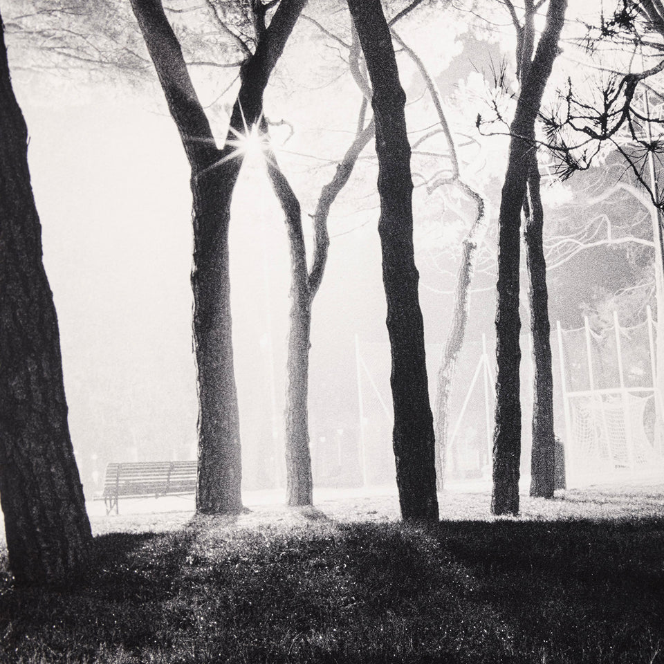 Sant’Elena - Luiza Baldan