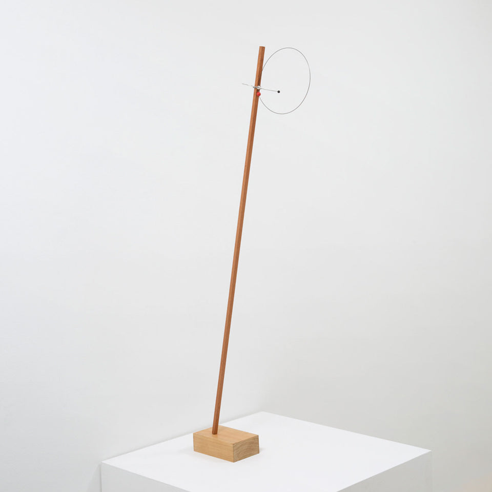 Carlos Bevilacqua, Disco extensível