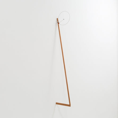 Carlos Bevilacqua, Disco extensível